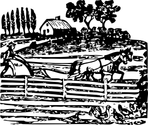 media-image-preview
