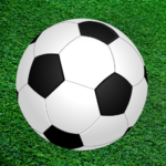 Logo for PuzzleMe Raga App - A football