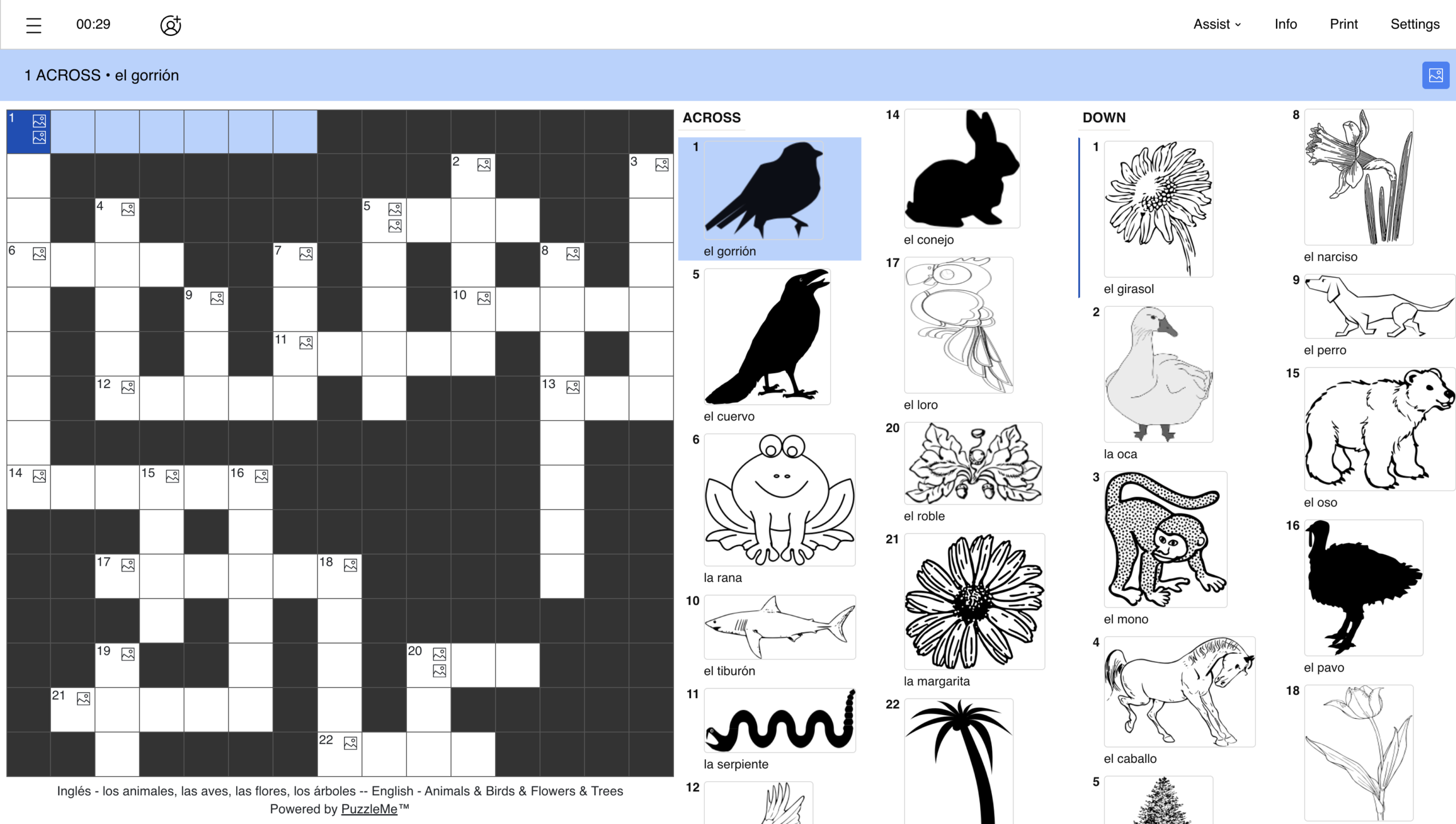 A crossword puzzle created for language learning, with pictures, clues in Spanish and answers in English