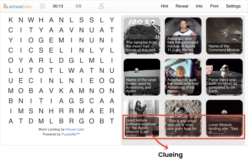 PuzzleMe-WordSearch-Clueing