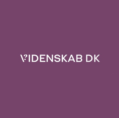 Danish Media Outlet Creates Science-Based Games For Readers